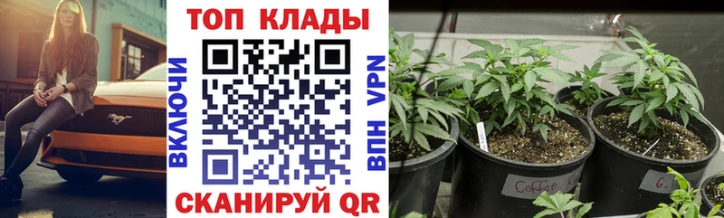 Купить закладку Спасск-Дальний Cocaine  Меф мяу мяу  Гашиш  Канабис 