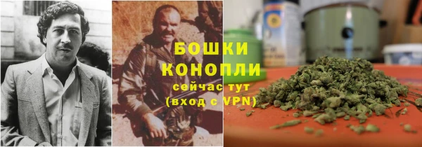 ешки Арсеньев