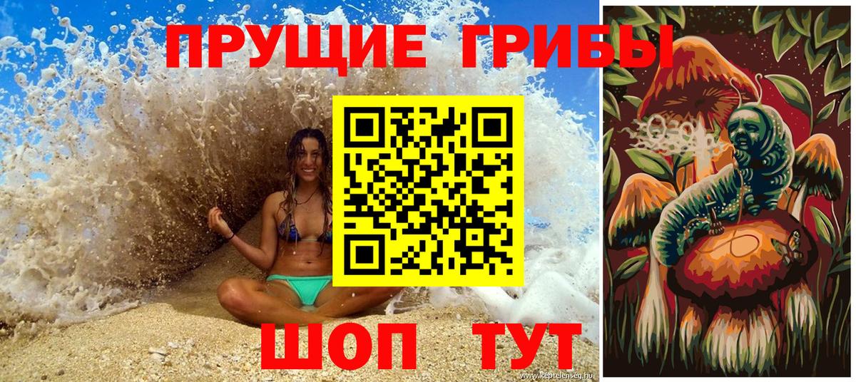 Галлюциногенные грибы GOLDEN TEACHER  где купить наркоту  Галлюциногенные грибы MAGIC MUSHROOMS  Спасск-Дальний  Вход с VPN 