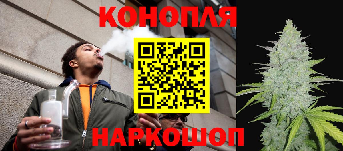 Бошки Шишки планчик Спасск-Дальний